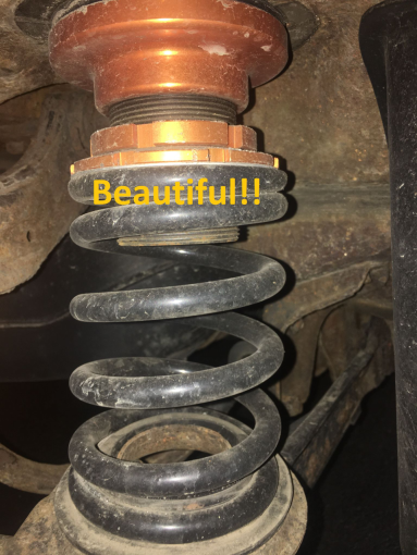 MaXpeedingRods Blog | An Automotive Blog from MaXpeedingRods - A Comprehensive Introduction on MaXpeedingRods 8th Gen Civic Coilovers MaXpeedingRods Blog | An Automotive Blog from MaXpeedingRods - A Comprehensive Introduction on MaXpeedingRods 8th Gen Civic Coilovers